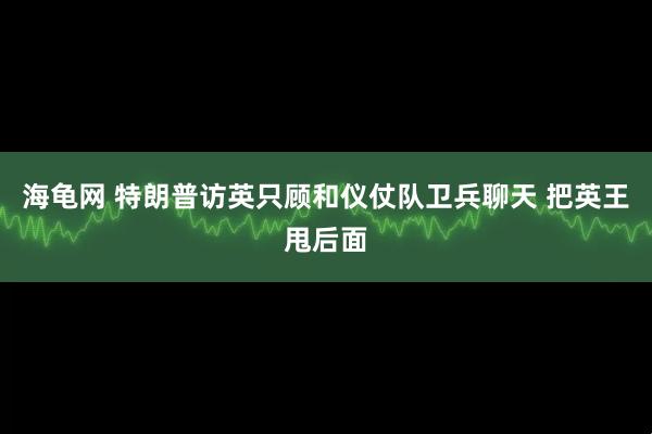 海龟网 特朗普访英只顾和仪仗队卫兵聊天 把英王甩后面