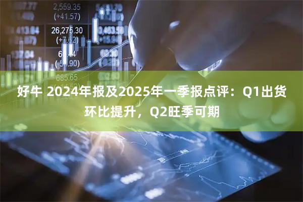 好牛 2024年报及2025年一季报点评：Q1出货环比提升，Q2旺季可期