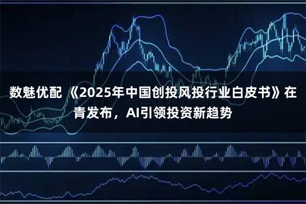 数魅优配 《2025年中国创投风投行业白皮书》在青发布，AI引领投资新趋势