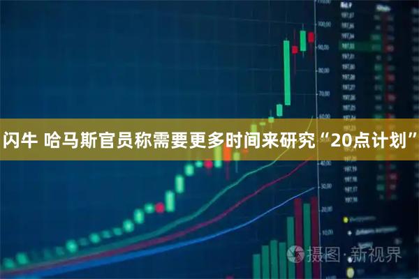 闪牛 哈马斯官员称需要更多时间来研究“20点计划”